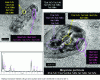 Figure 51 - METHR observations of the total transformation of M7C3-type carbides into MN-CFC globular nitrides[3].