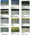 Figure 10 - Micrographs of nitrided layers