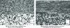 Figure 23 - Interface between a Zircaloy-2 (top of micrographs) and a Zr-Fe liner (bottom) in a coiled tubing.
