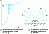 Figure 17 - Diagram of a bite germ