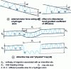 Figure 6 - Trapping origin