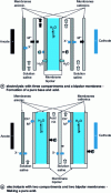 Figure 24 - Two types of electrolyzer (two and three compartments)