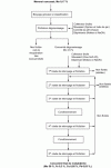 Figure 3 - Simplified flowchart of molybdenum ore processing at Climax
