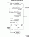 Figure 4 - Process flow diagram for molybdenite copper ore at Pinto Valley