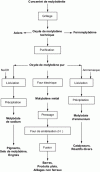 Figure 5 - General flowchart of the pyrometallurgical processing of molybdenite concentrates and the production of certain derivative products