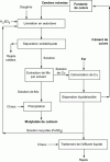 Figure 7 - Flowchart of the treatment of fly ash from copper smelters for molybdenum recovery