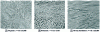 Figure 19 - Evolution of pearlite during work-hardening