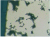 Figure 37 - Pure iron – No attack – Layer of Fe3O4 lining the porosity