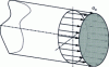 Figure 3 - Stress amplitude distribution in a tension-compression
test