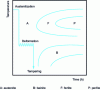 Figure 19 - Schematic diagram of the thermomechanical cycle of the austenitoforming process