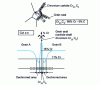 Figure 15 - Dechromatization at grain boundaries due to chromium carbide precipitation