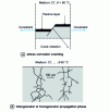 Figure 19 - Representation of stress corrosion