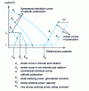 Figure 7 - Operating points of stainless steel in chloride and non-chloride acid media
