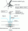 Figure 18 - Representation of dechromization at grain boundaries as a result of chromium carbide precipitation