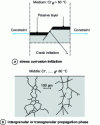 Figure 22 - Representation of stress corrosion cracking