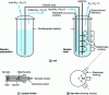 Figure 33 - Multi-puncture electrochemical cell