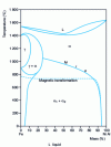 Figure 3 - Equilibrium diagram of the Fe-Ni-Al system [25]