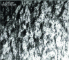 Figure 7 - Vein structure in Ti-48Al-2Cr-2Nb alloy forming after a large number of cycles at 20°C