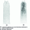 Figure 18 - 5 t bottle ingot in non-calcined mild steel cast in chute (from )