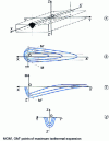 Figure 2 - Diagrams of different cross-sections of the thermal solid