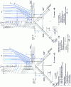 Figure 31 - Abacuses for determining parameter values [31]