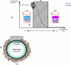 Figure 1 - – Schematic diagram of lipid nanocapsule production. ZIP: phase inversion zone W/O and O/W: water/oil and oil/water emulsion. The direction of the emulsion changes with temperature and passes through a microemulsion zone (at the ZIP). The rapid dilution of the system in water as it passes through the ZIP allows the nanocapsules to form instantly. b – Diagram of a lipid nanocapsule composed of a lipophilic core made of triglycerides and a shell composed of lecithins and surfactant (polyethylene glycol hydroxystearate).