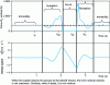 Figure 6 - For vertical expansion, time relationship between reaction force and global CG speed