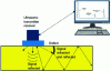 Figure 16 - Ultrasonic Testing