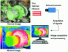 Figure 22 - Passive Infrared Thermography Inspection