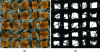 Figure 13 - Raw (left) and processed (right) images of a pile fabric (source: LPMT)