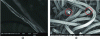 Figure 2 - Examples of fibers with non-circular cross-sections, images taken with a scanning electron microscope (SEM): on the left, the characteristic twist of a cotton fiber; on the right, two types of filaments, including polyethylene terephthalate (PET) filaments with a trilobed cross-section (circled in red) (source: LPMT)