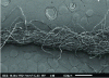 Figure 3 - Cotton yarn (source: LPMT)