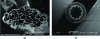 Figure 7 - Banana stalk fibers on the left [20]; hollow fiber for a filter membrane (polyester/polyvinylpyrrolidone (PES/PVP) blend) on the right [21]
