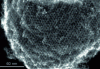 Figure 12 - Nano-porous carbon template from a silica template (adapted from [16])