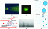 Figure 16 - Light Scattering by a Particle and the Phenomenon of Interference