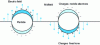 Figure 21 - Formation of surface plasmons under the effect of the oscillating electric field of electromagnetic radiation in a nanoparticle