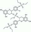 Figure 14 - Example of an oligomer obtained by reacting a condensed tannin unit with triethyl phosphate