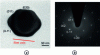 Figure 11 - (a) TEM image of YbPO4 in the fiber; (b) electron diffraction pattern of YbPO4 [24]