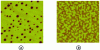 Figure 7 - Morphology resulting from (a) a nucleation-growth mechanism; (b) a spinodal decomposition mechanism [20].