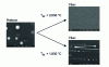 Figure 9 - Effect of drawing temperature (Tet.) on the characteristics of nanoparticles in the core of optical fibers. The three SEM images have the same scale. The spherical particles aligned at the bottom of the image of the fiber drawn at 1850°C correspond to particles formed by Rayleigh-Plateau instabilities.
