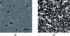 Figure 11 - (a) Microstructure of a clay-calcite terracotta showing the presence of dense recrystallized zones and pores, (b) an image analysis reveals the existence of an interconnected three-dimensional network of particles (in white) promoting an increase in mechanical properties (Scale: 50 μm).