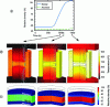 Figure 15 - Electro-thermo-mechanical simulation results [31]