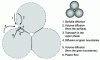 Figure 4 - Mechanisms of Material Transport During Sintering