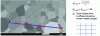 Figure 7 - Method for measuring the average grain size using the “linear intercept” technique, which involves counting the number of grain boundaries along a line (in blue) of known length (here, 7.31 µm). Multiple lines across multiple images are required to obtain a representative measurement. The average (1D) size is then multiplied by a stereological factor to obtain the equivalent 3D size of the actual grains