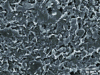 Figure 7 - Heterogeneous and porous microstructure of earthenware fired at 1,140°C