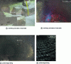 Figure 12 - Slag infiltration in carbon-free refractories (porosity impregnation) and consequences – fired andalusite brick linings