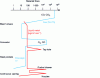 Figure 2 - Evolution of gas volume flow and steel mass flow per square meter of refractory wall