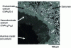 Figure 4 - Electron microscope view of the interface between refractory alumina and a CaO-Al2O3 slag. Calcium aluminates precipitate through reaction and protect the alumina. The dissolution of the alumina becomes indirect