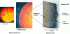 Figure 18 - A bauxite brick taken from a steel pocket