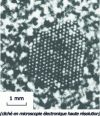 Figure 1 - Cubic cobalt aggregate 